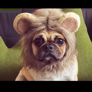 Adorable Lion Hat/Hood, New!